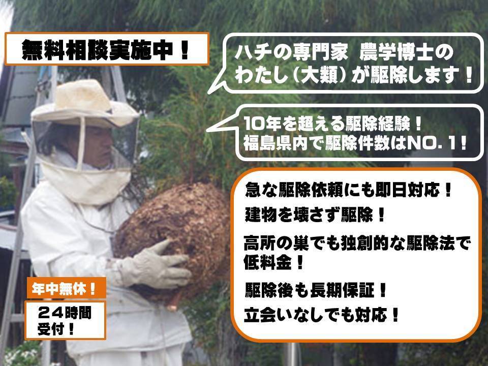スズメバチの巣を駆除するルイワン代表 農学博士の大類