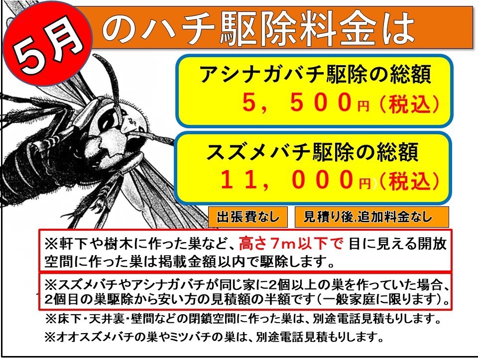 スズメバチ駆除料金（月別）
