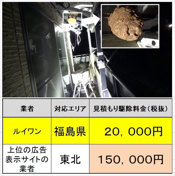 スズメバチ駆除料金の比較