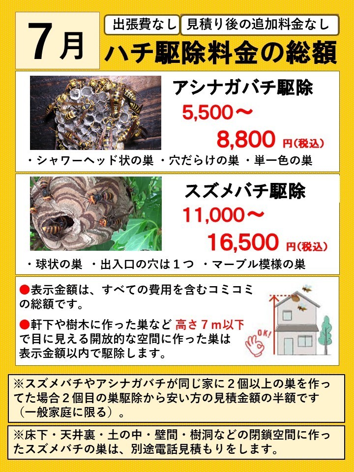 ハチ駆除料金