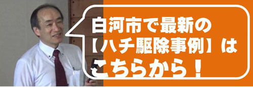 ハチ駆除事例（２０１８年以降）