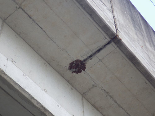 東北新幹線の高架橋のスズメバチの巣の撤去跡