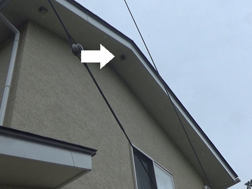 白河市でスズメバチが軒下に巣を作る