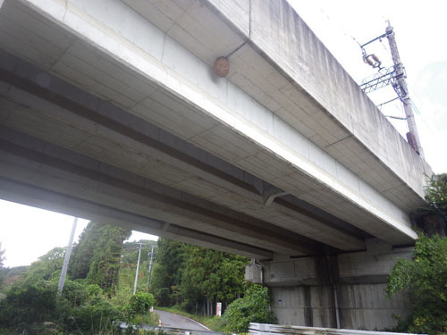 東北新幹線の高架橋のスズメバチ駆除の現場