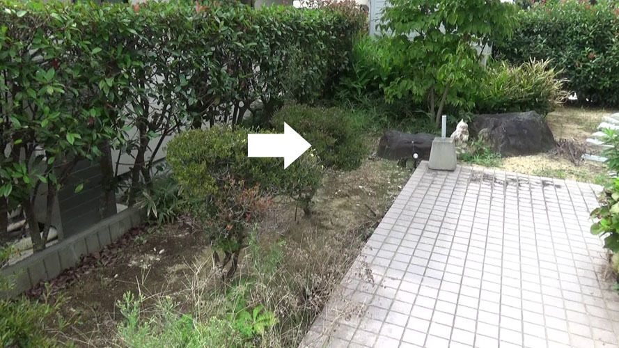 郡山市でスズメバチ駆除の現場（倉庫内への出入り口）