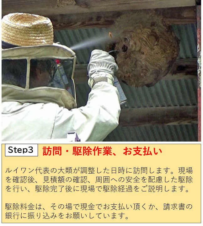 蜂駆除の訪問・駆除作業、お支払い