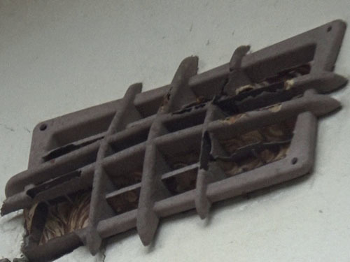 福島市でスズメバチが通気口から出入り、屋根裏に巣を作る