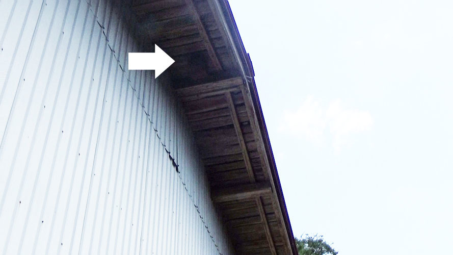 軒下に作ったスズメバチの巣駆除の現場