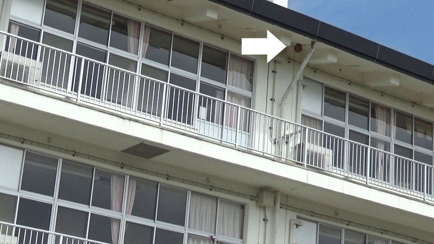 郡山市の海老根小学校でスズメバチ駆除の現場