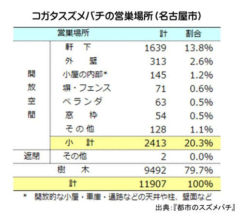 コガタスズメバチの営巣場所