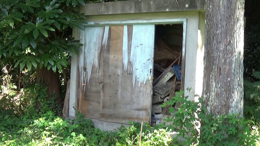 倉庫の引き戸を開けるとスズメバチが大暴れ（郡山市）