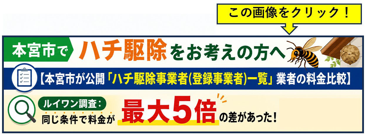 本宮市でハチ駆除をお考えの方へ