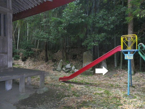 オオスズメバチが巣を作った神社の境内の現場(郡山市)