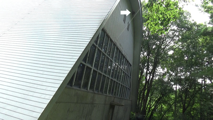 スズメバチの巣が有る体育館の全景