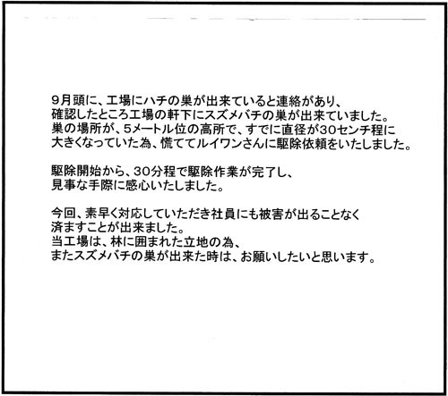 泉崎村でスズメバチ駆除のお客様の声