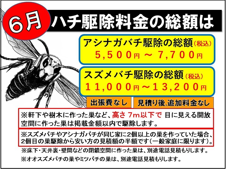 スズメバチ駆除料金（月別）