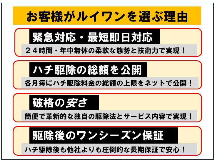 お客様がルイワンを選ぶ理由