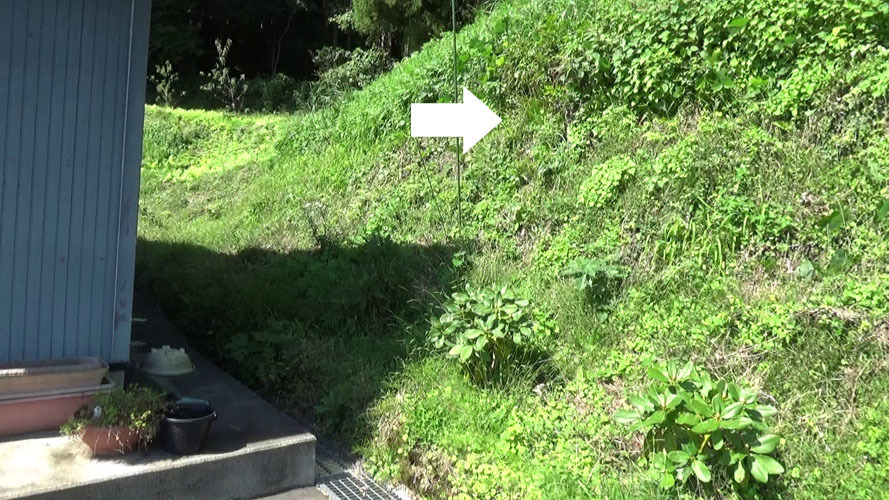 須賀川市でオオスズメバチ駆除の現場