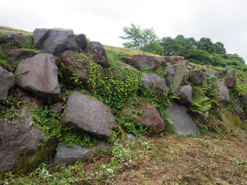 北塩原村でスズメバチ駆除の現場