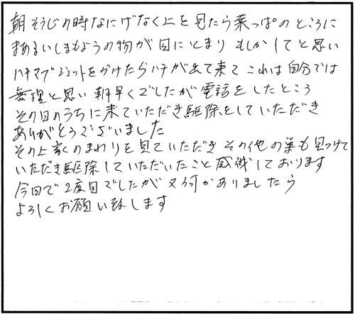 川俣町でスズメバチ駆除のお客様の声