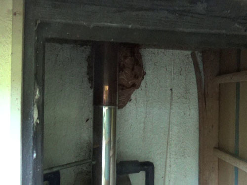 スズメバチの巣はボイラー室の中にあった（白河市）