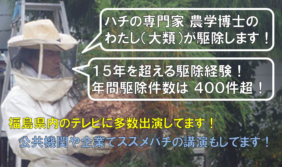 スズメバチ駆除の専門家 農学博士の大類幸夫が駆除します！