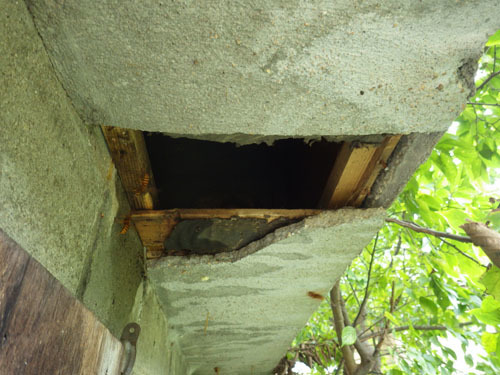 スズメバチの巣を取りだすために壊した軒裏（郡山市）