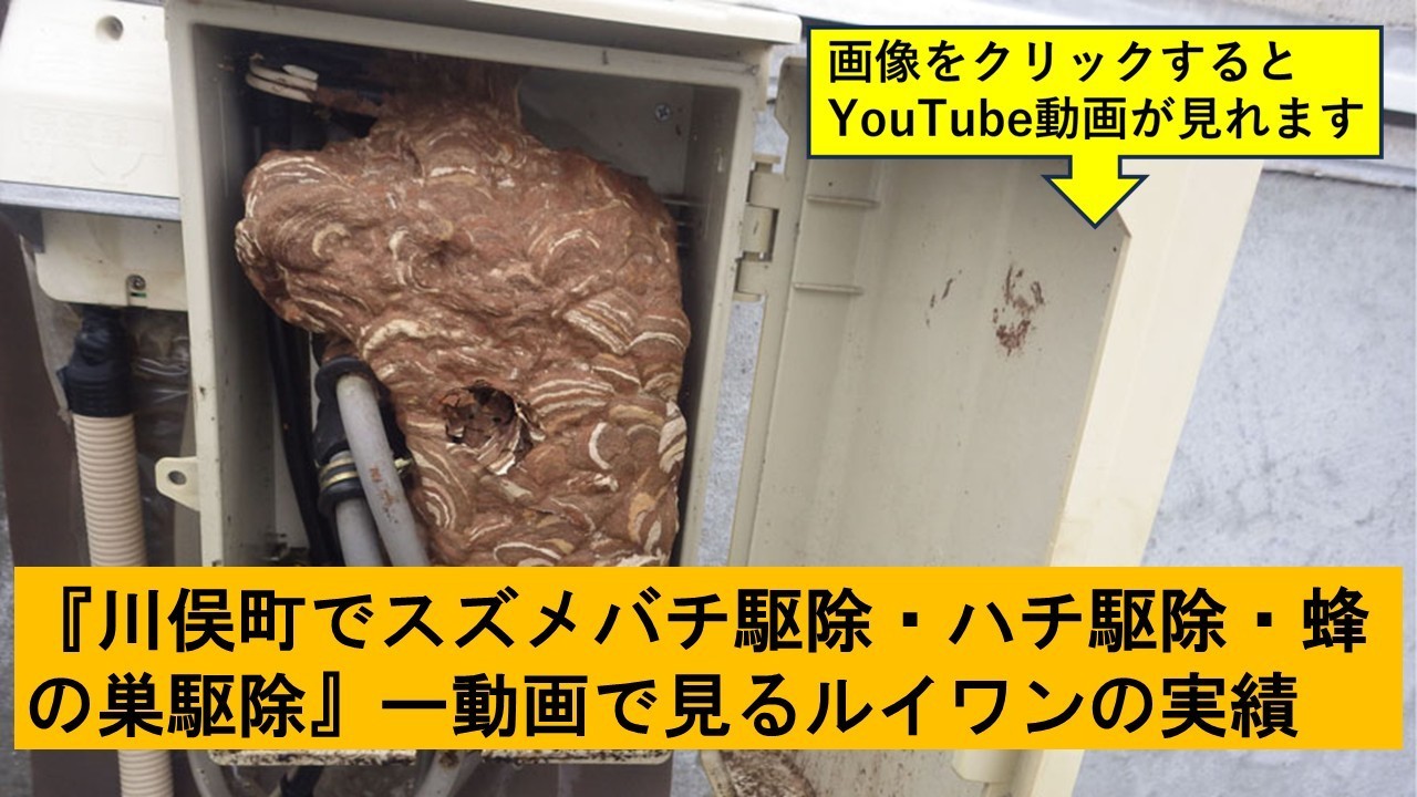 川俣町でのハチ駆除の実績動画
