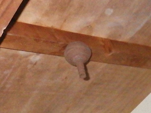 物置の軒下に逆とっくり型のスズメバチの巣(福島市）