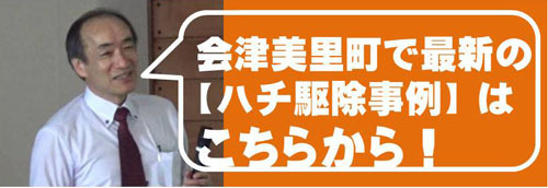 会津美里町で【ハチ駆除事例】