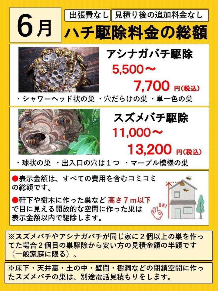 ハチ駆除料金