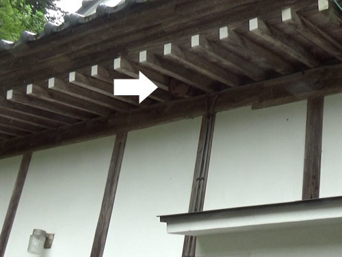 田村市で１階の軒下にキイロスズメバチの巣