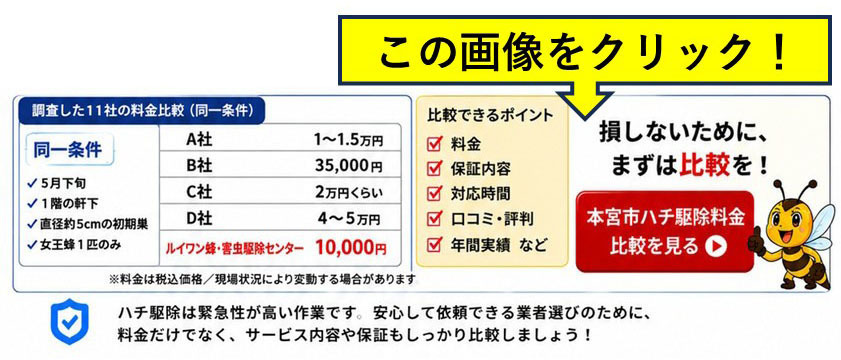 本宮市でハチ駆除事業者（登録事業者）一覧の業者比較にクリック