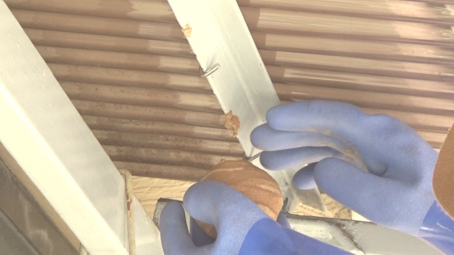 女王蜂を捕虫後、巣を撤去する