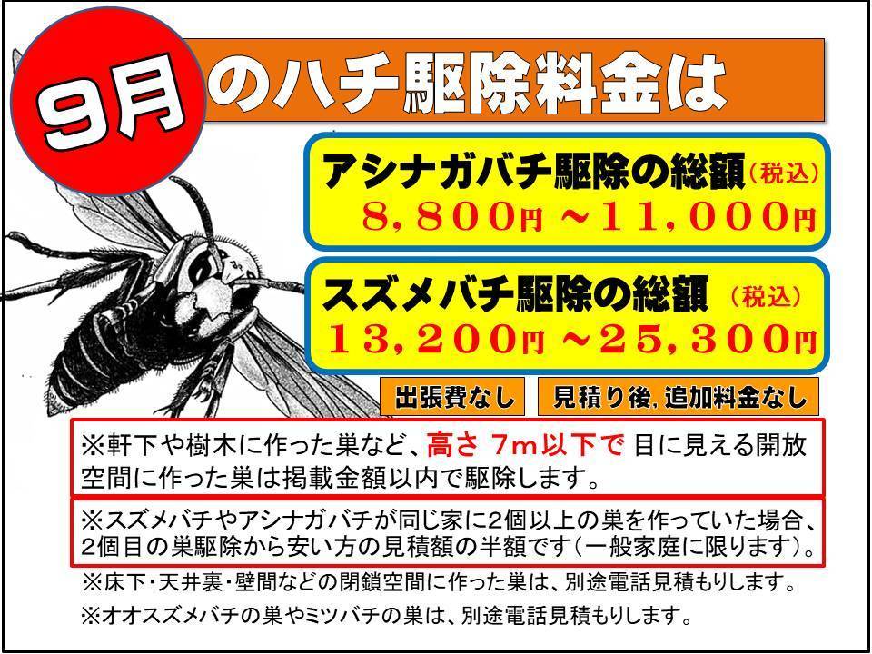 スズメバチ駆除料金（月別）