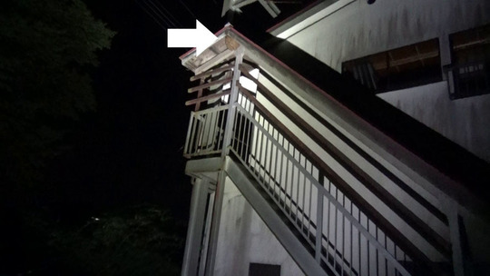 階段の踊り場のスズメバチの巣駆除の現場