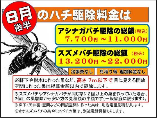 コガタスズメバチの生活史 福島県 ハチ駆除のルイワン コガタスズメバチの生活史 福島県 ハチ駆除のルイワン