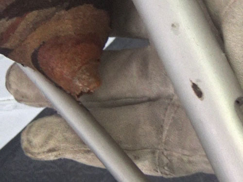 コガタスズメバチの巣の撤去作業（郡山市）