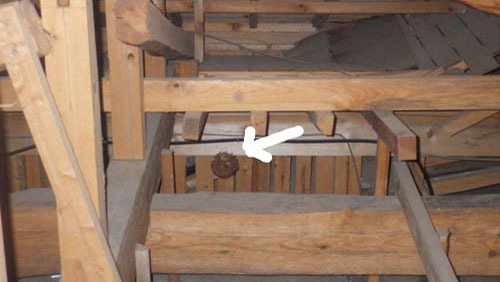 福島県玉川村で屋根裏に作ったスズメバチの巣