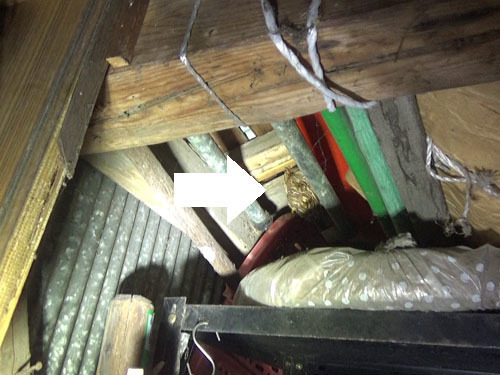 天井にキイロスズメバチの巣（西郷村）