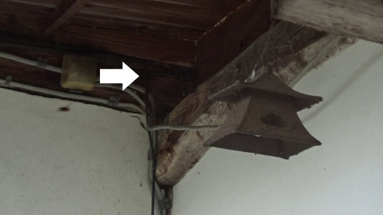 平田村でスズメバチ駆除の現場