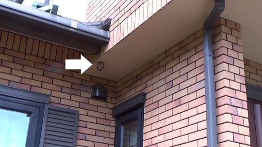 テラスの軒下のスズメバチの巣駆除の現場