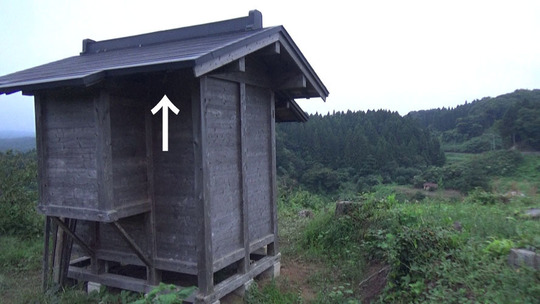 田村市でスズメバチ駆除