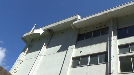 石川高等学校のスズメバチの巣駆除の現場