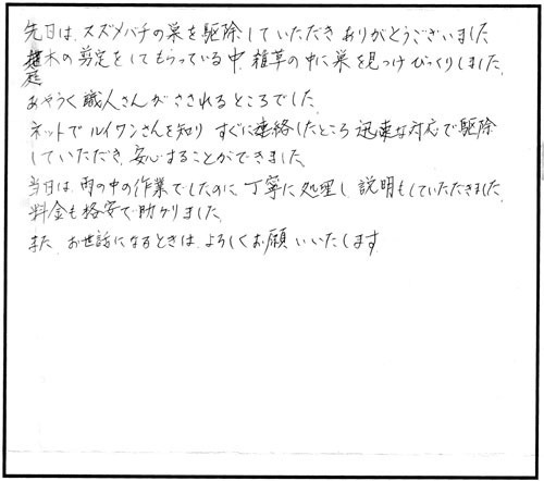 郡山市で庭木のコガタスズメバチ駆除の口コミ