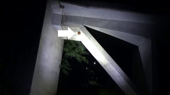 歩道橋に作ったスズメバチの巣