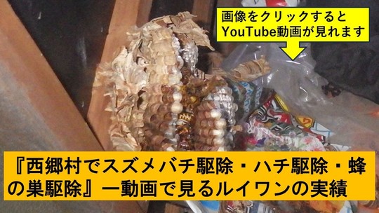 西郷村でのハチ駆除の実績動画