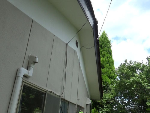 キイロスズメバチが出入りする通気口（福島市）