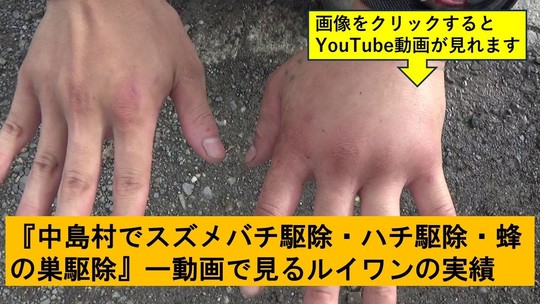 中島村でのハチ駆除の実績動画