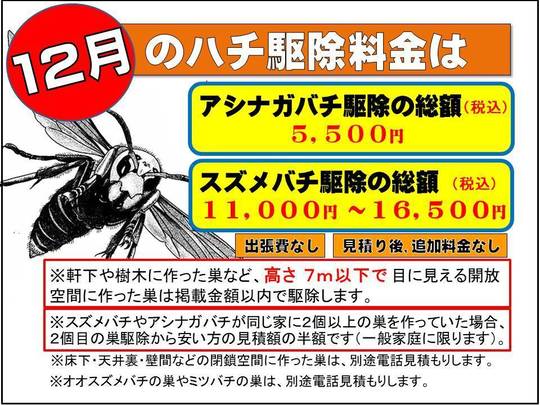 スズメバチ・蜂の巣を福島の農学博士が駆除|蜂駆除ルイワン